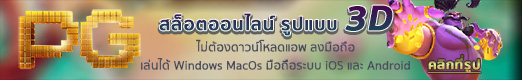 pg wallet